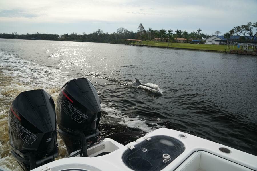 2022 Invincible 46 Catamaran - Photo 27