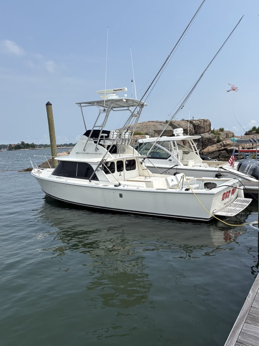 1972 Bertram 31 - Photo 3