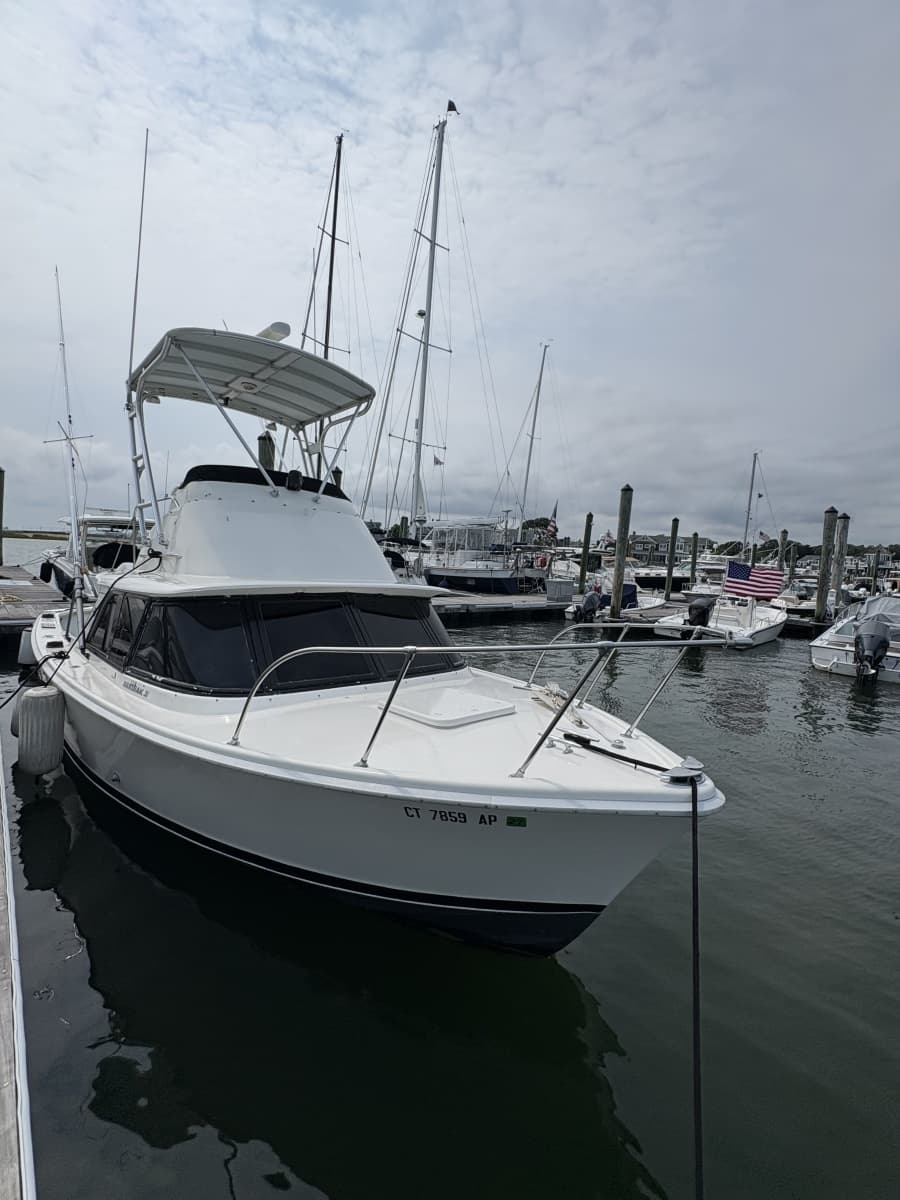1972 Bertram 31 - Photo 9
