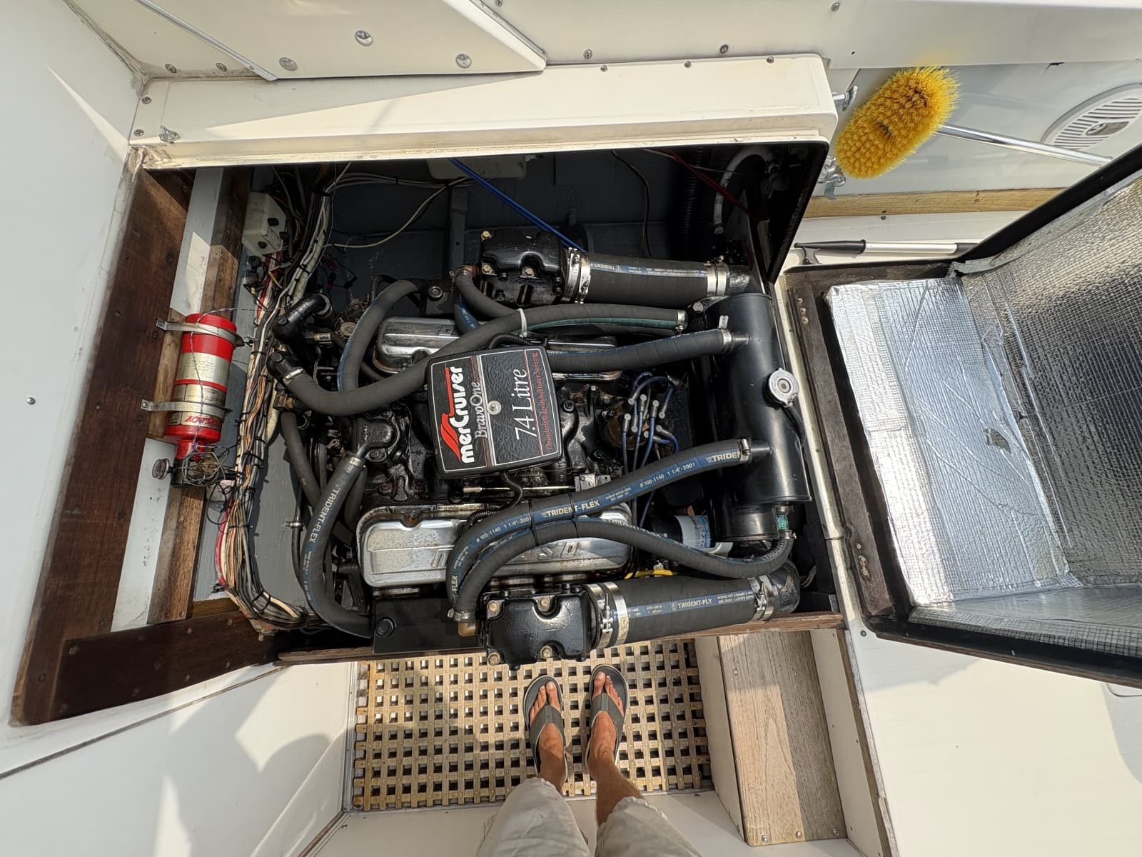 1972 Bertram 31 - Photo 15