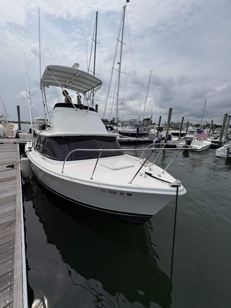1972 Bertram 31 - Photo 50