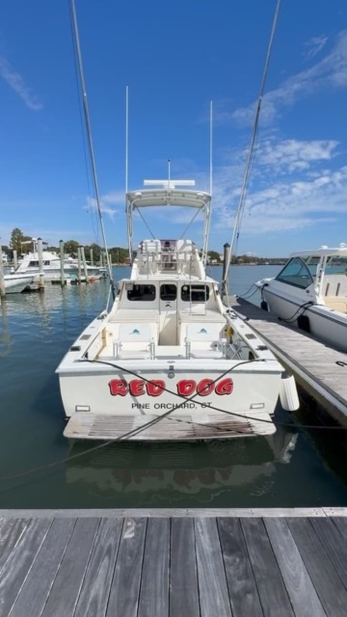 1972 Bertram 31 - Photo 56