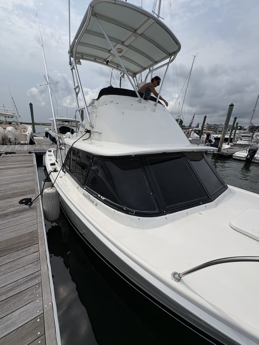 1972 Bertram 31 - Photo 49