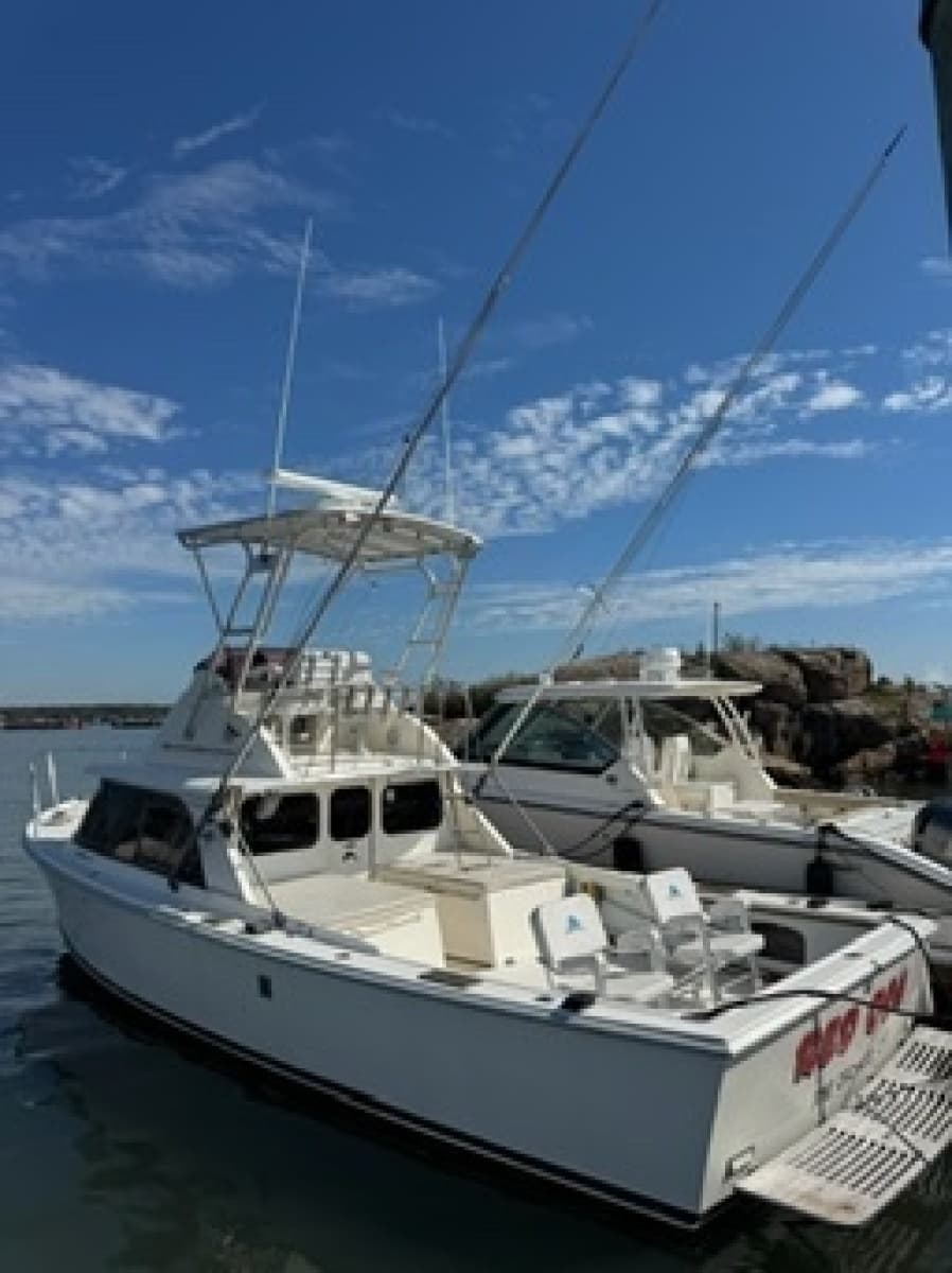 1972 Bertram 31 - Photo 53