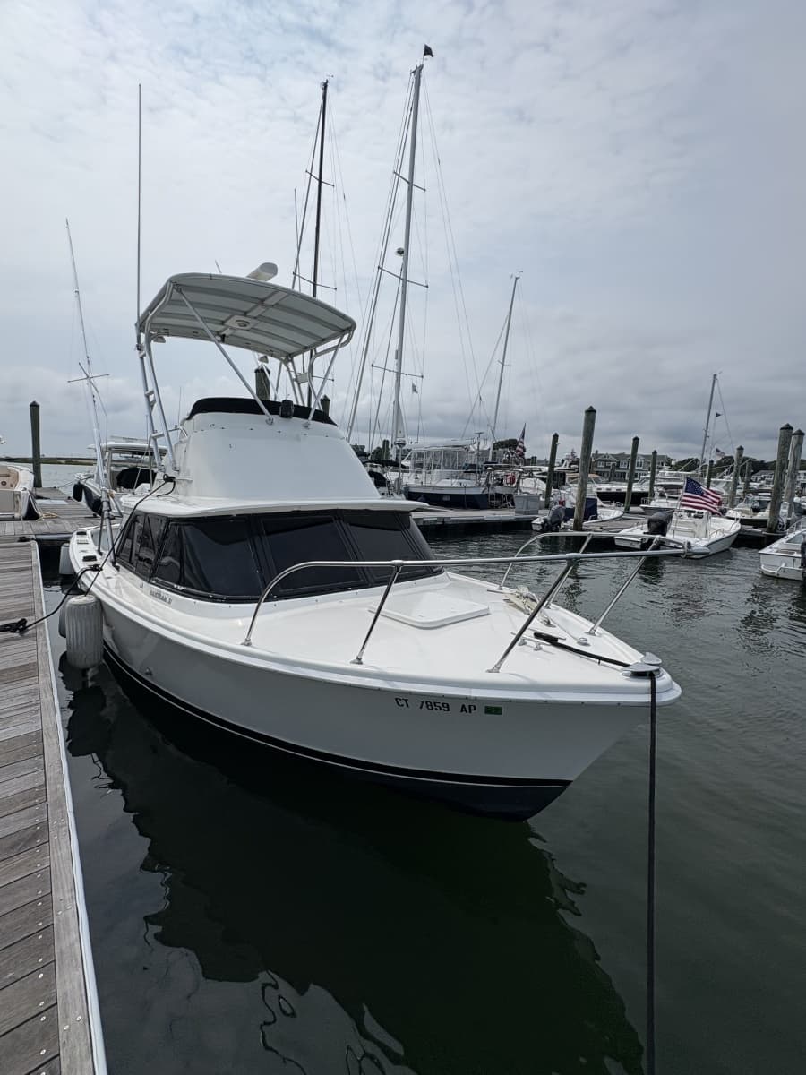 1972 Bertram 31 - Photo 8