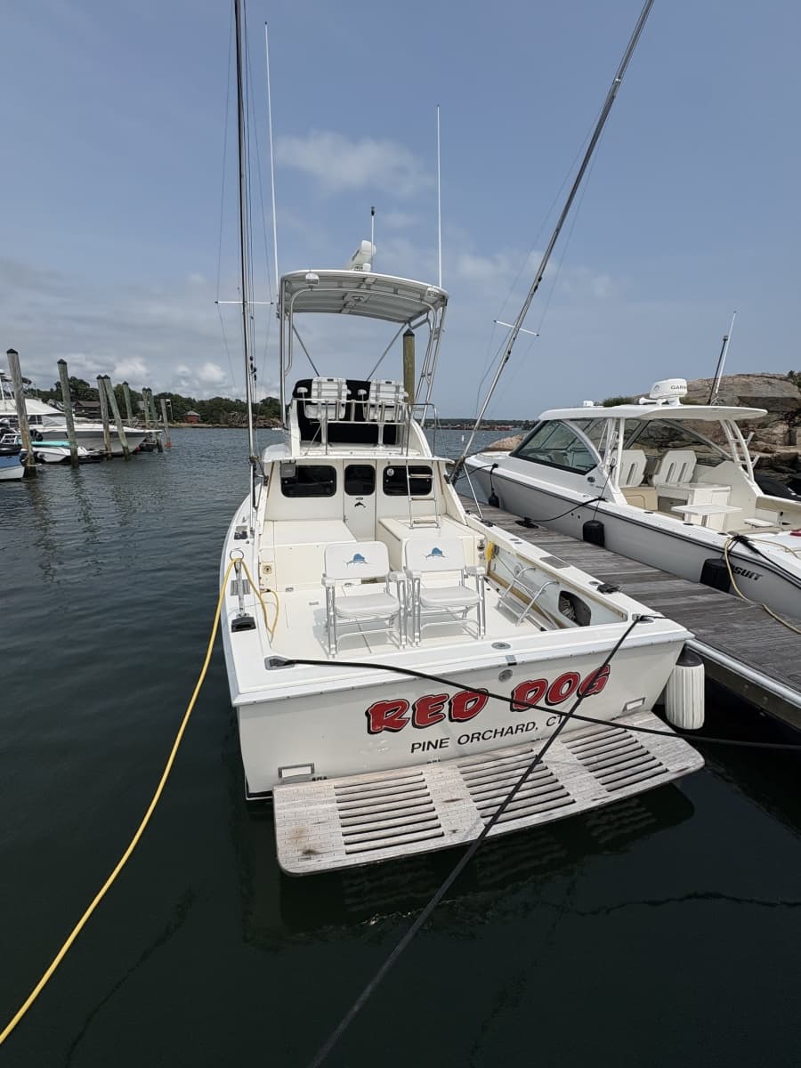 1972 Bertram 31 - Photo 4