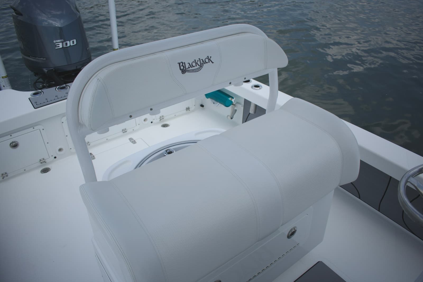 2020 BlackJack 256 Coastal - Photo 17