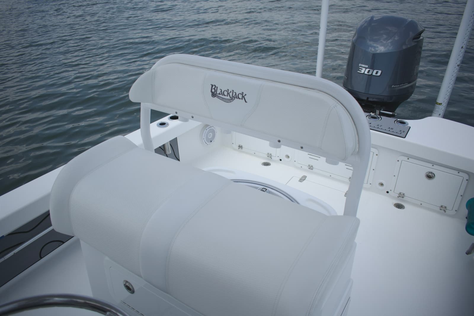 2020 BlackJack 256 Coastal - Photo 16