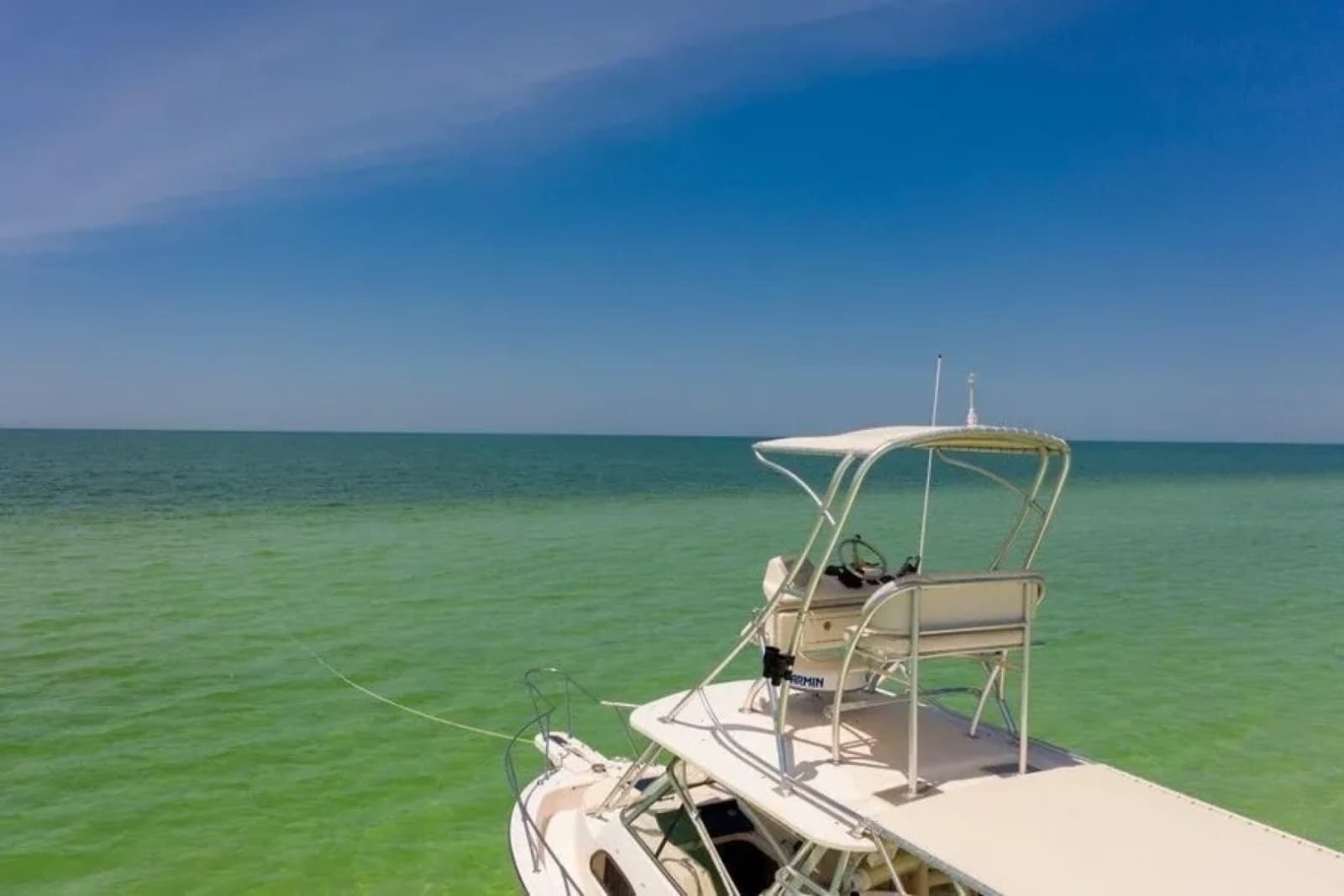 2006 Grady-White 300 Marlin - Photo 10