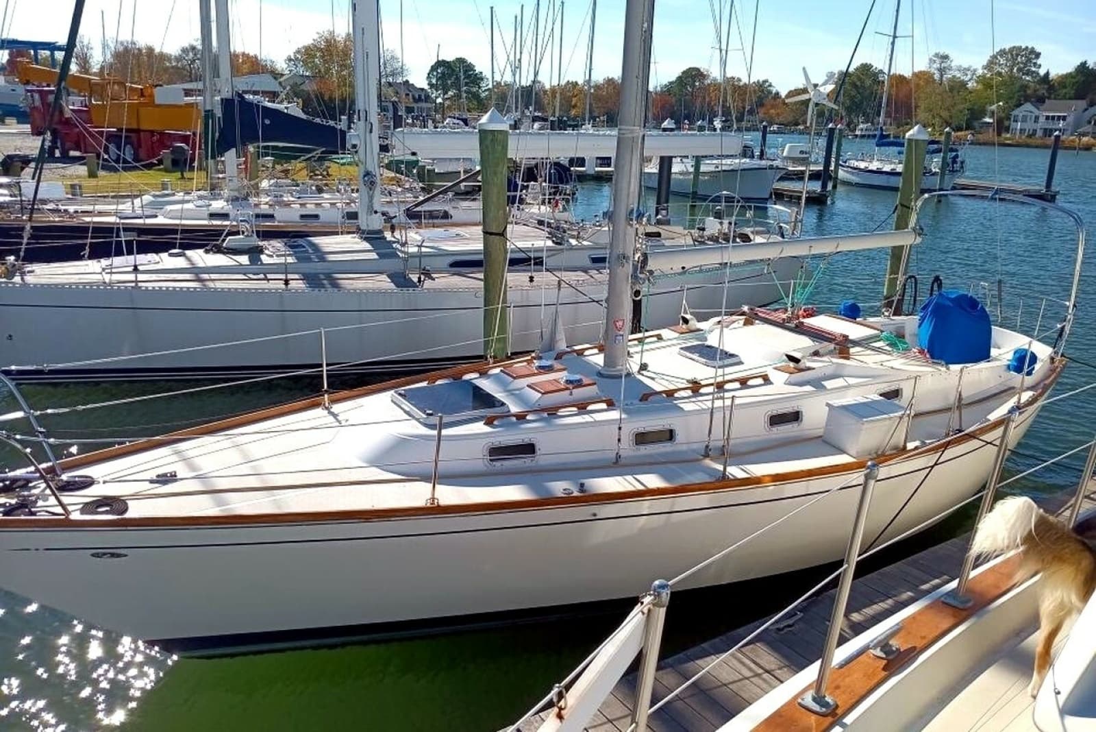 1980 Tartan 37 - Photo 2