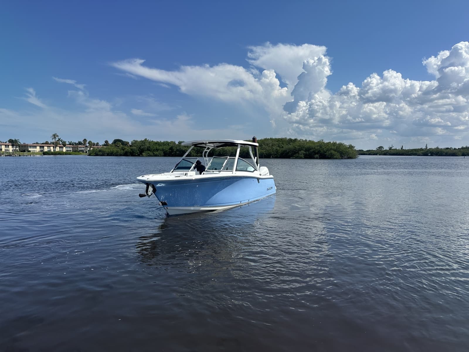 2024 Blackfin 272DC - Photo 3