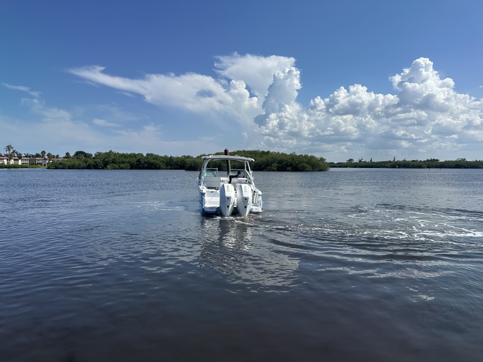 2024 Blackfin 272DC - Photo 6