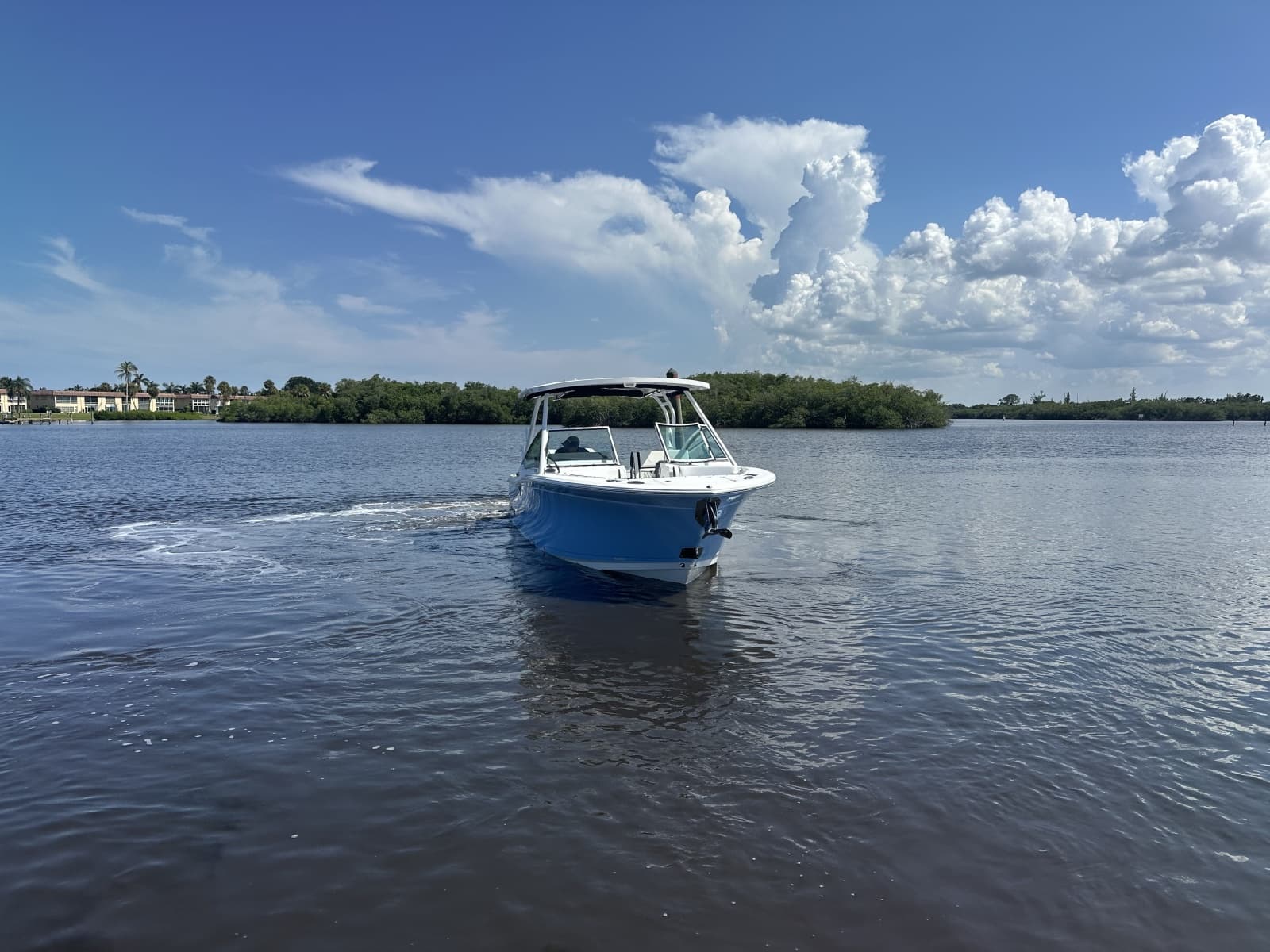 2024 Blackfin 272DC - Photo 5