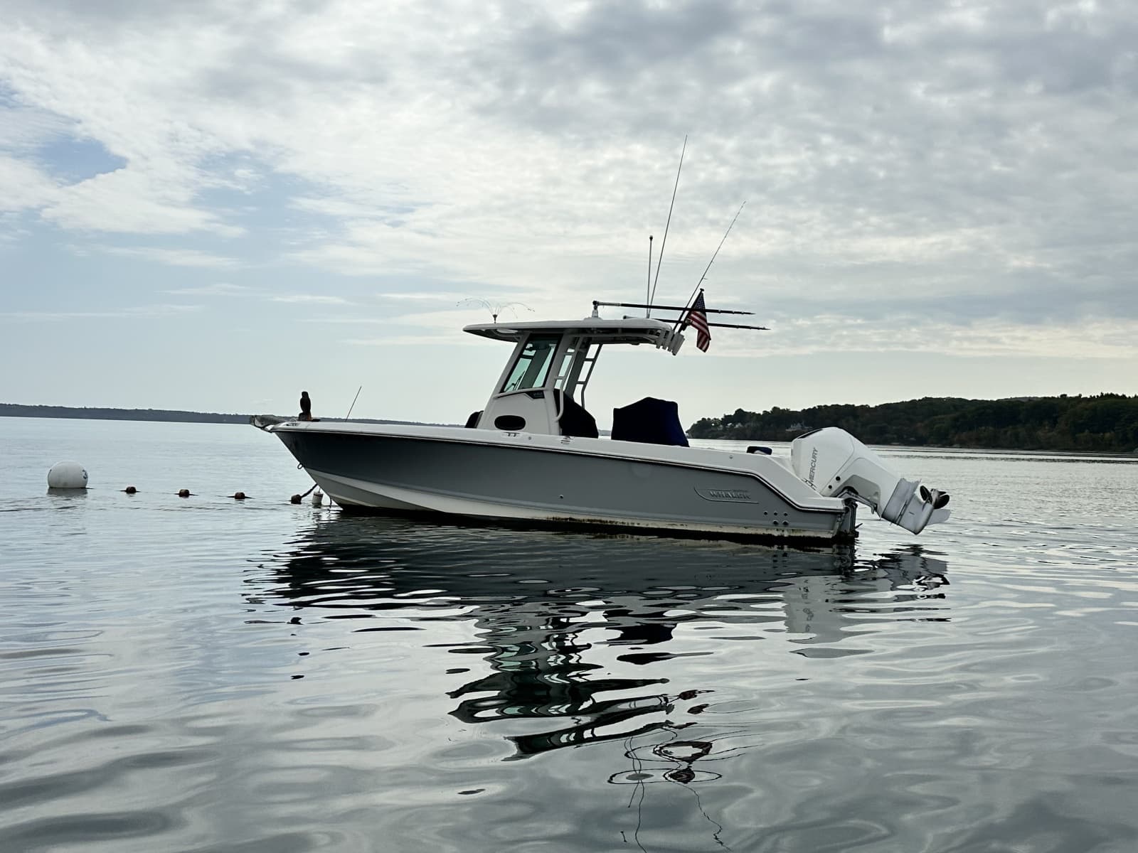 2024 Boston Whaler 250 Outrage - Photo 7