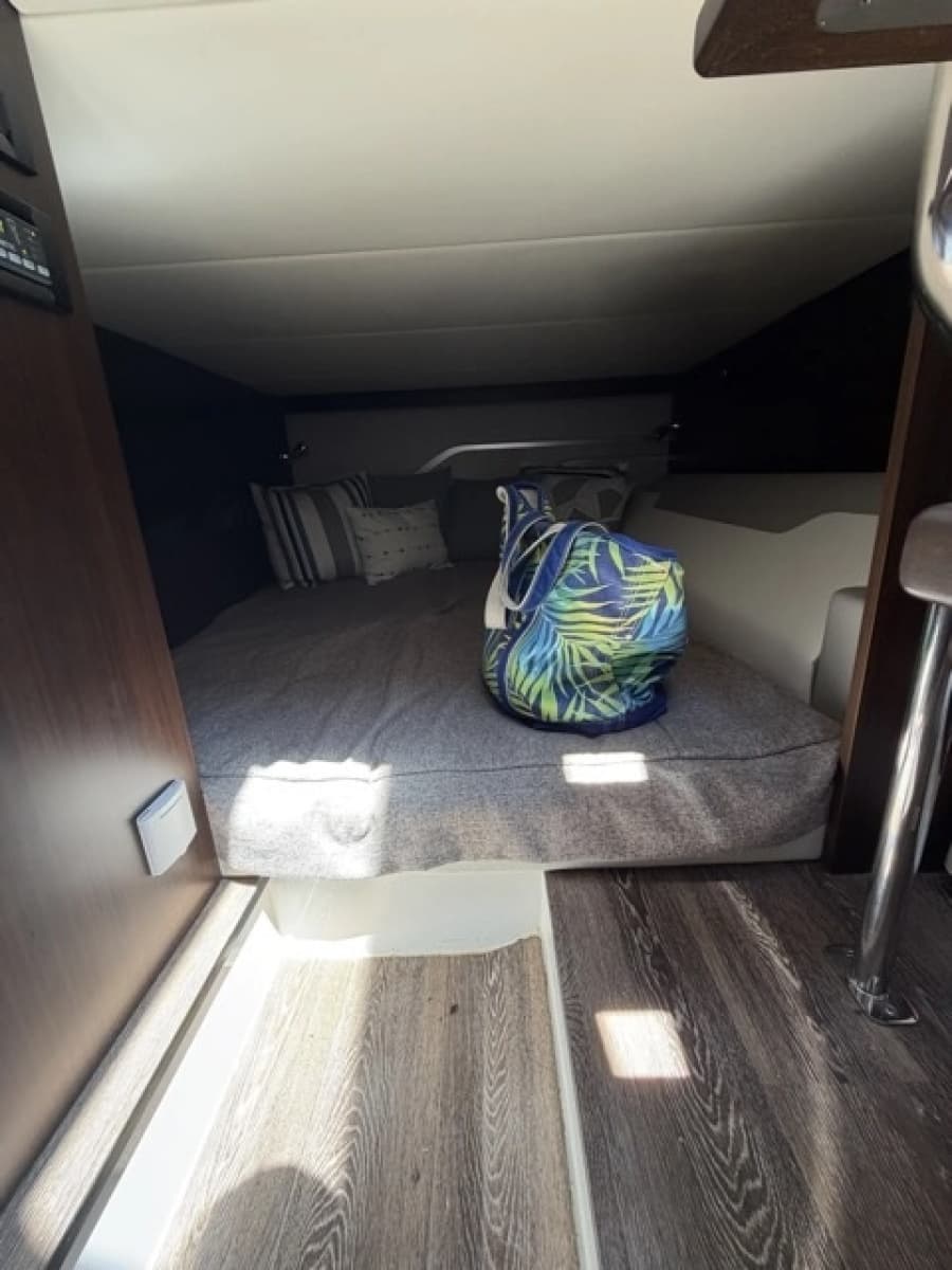 2024 Cruisers Yachts  - Photo 22