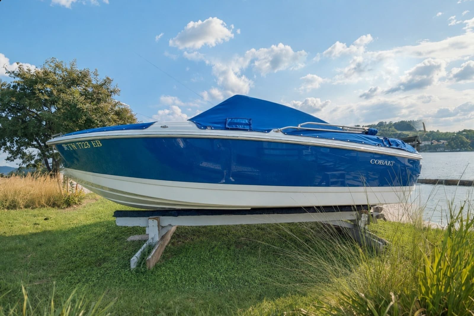 2011 Cobalt 210 - Photo 1