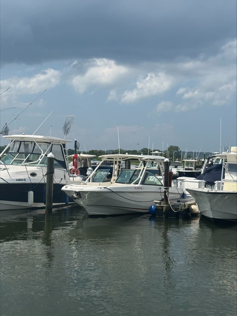 2019 Boston Whaler 270 Vantage - Photo 1