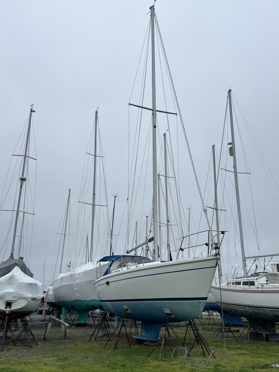 1995 Catalina 36 Mk II - Photo 1