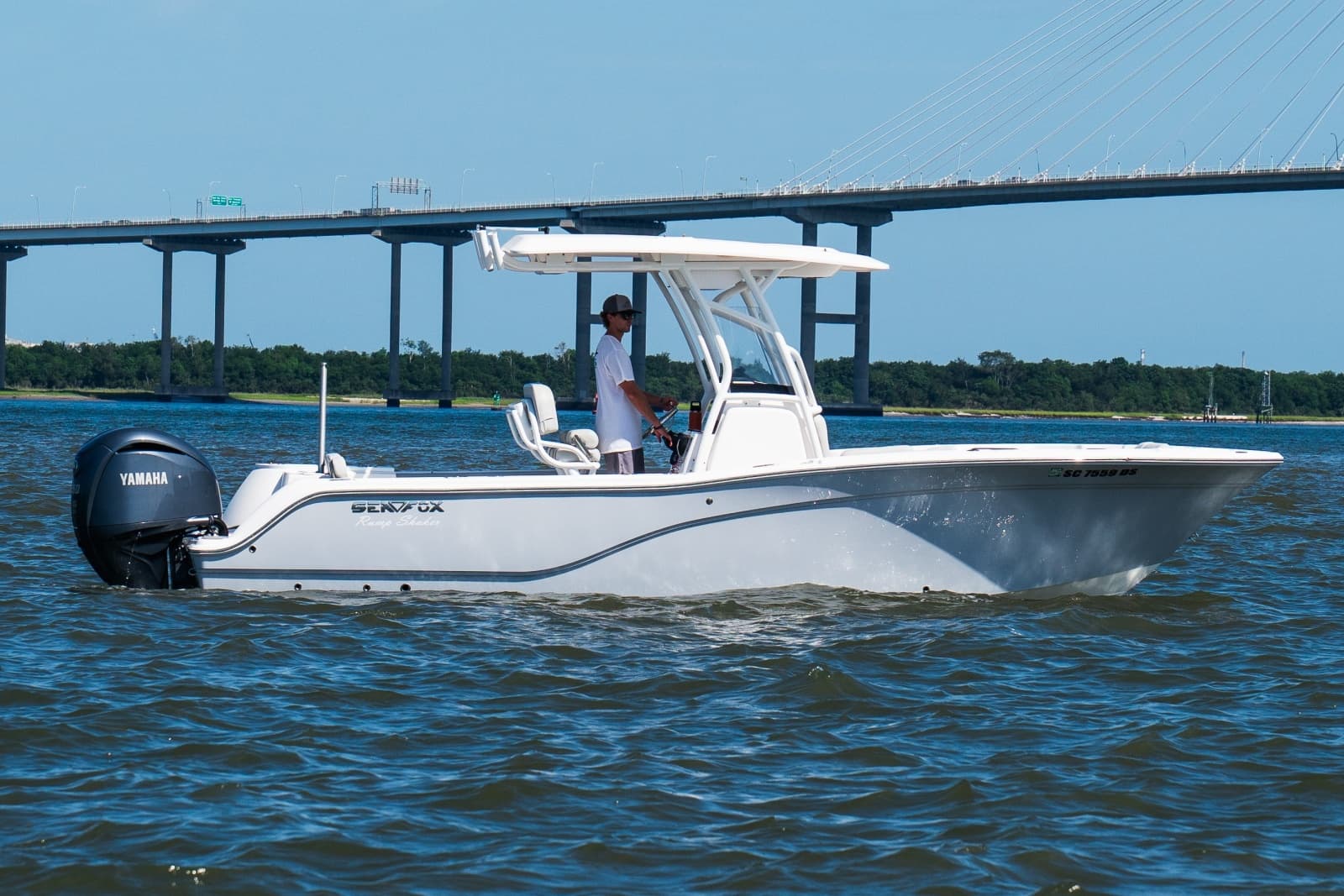 2022 Sea Fox 248 Commander - Photo 17