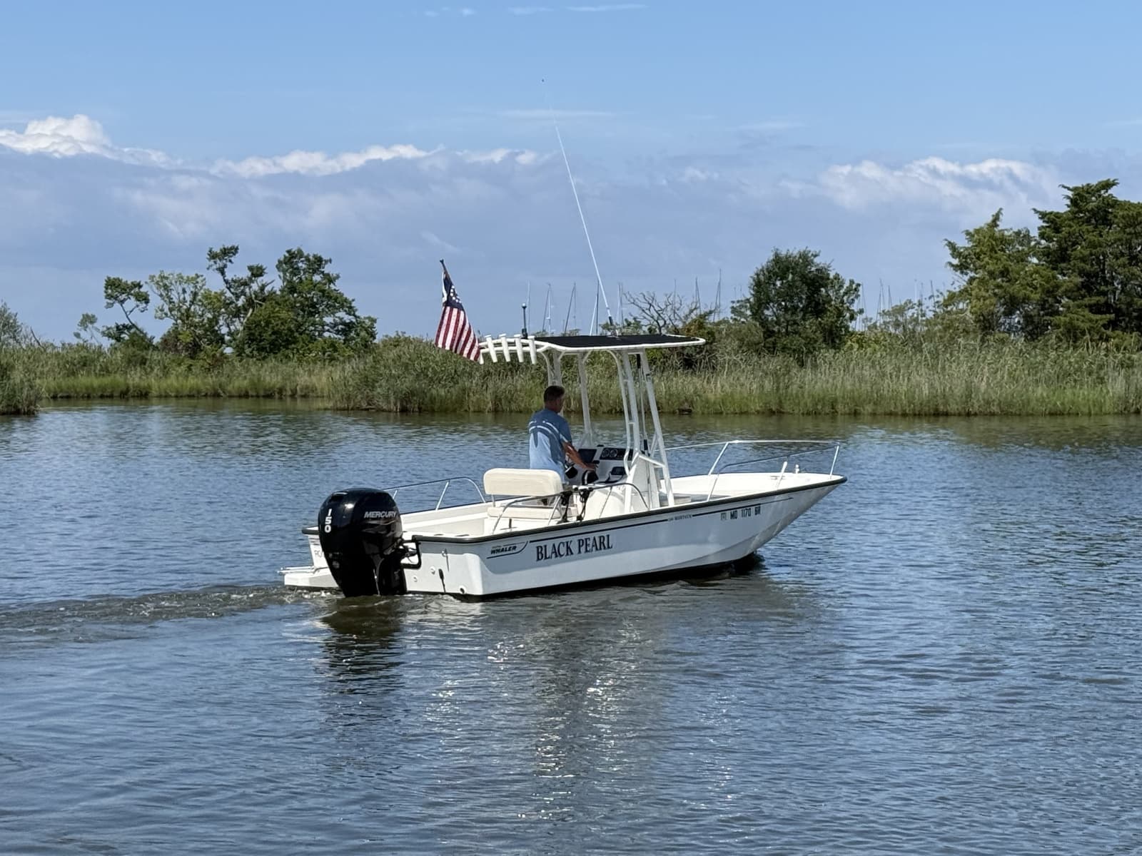 2020 Boston Whaler 190 Montauk - Photo 5