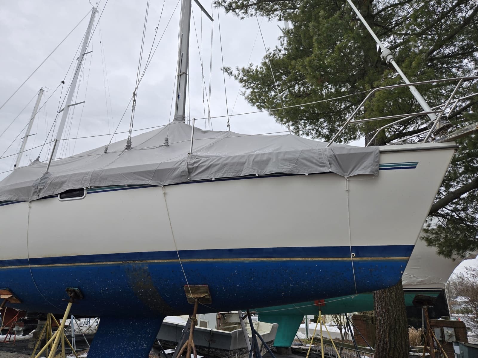 1998 Catalina 320 - Photo 2