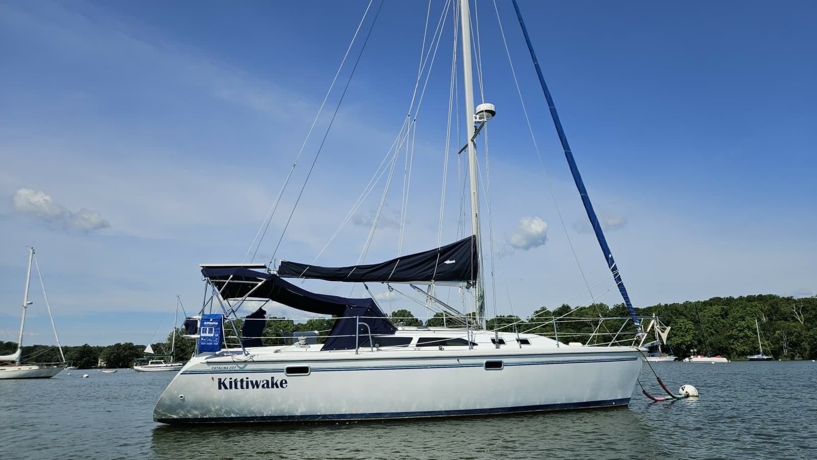 1998 Catalina 320 - Photo 1
