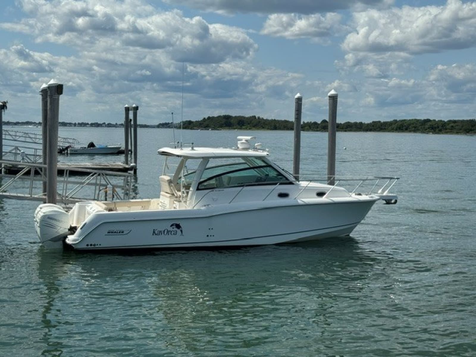 2016 Boston Whaler  - Photo 1