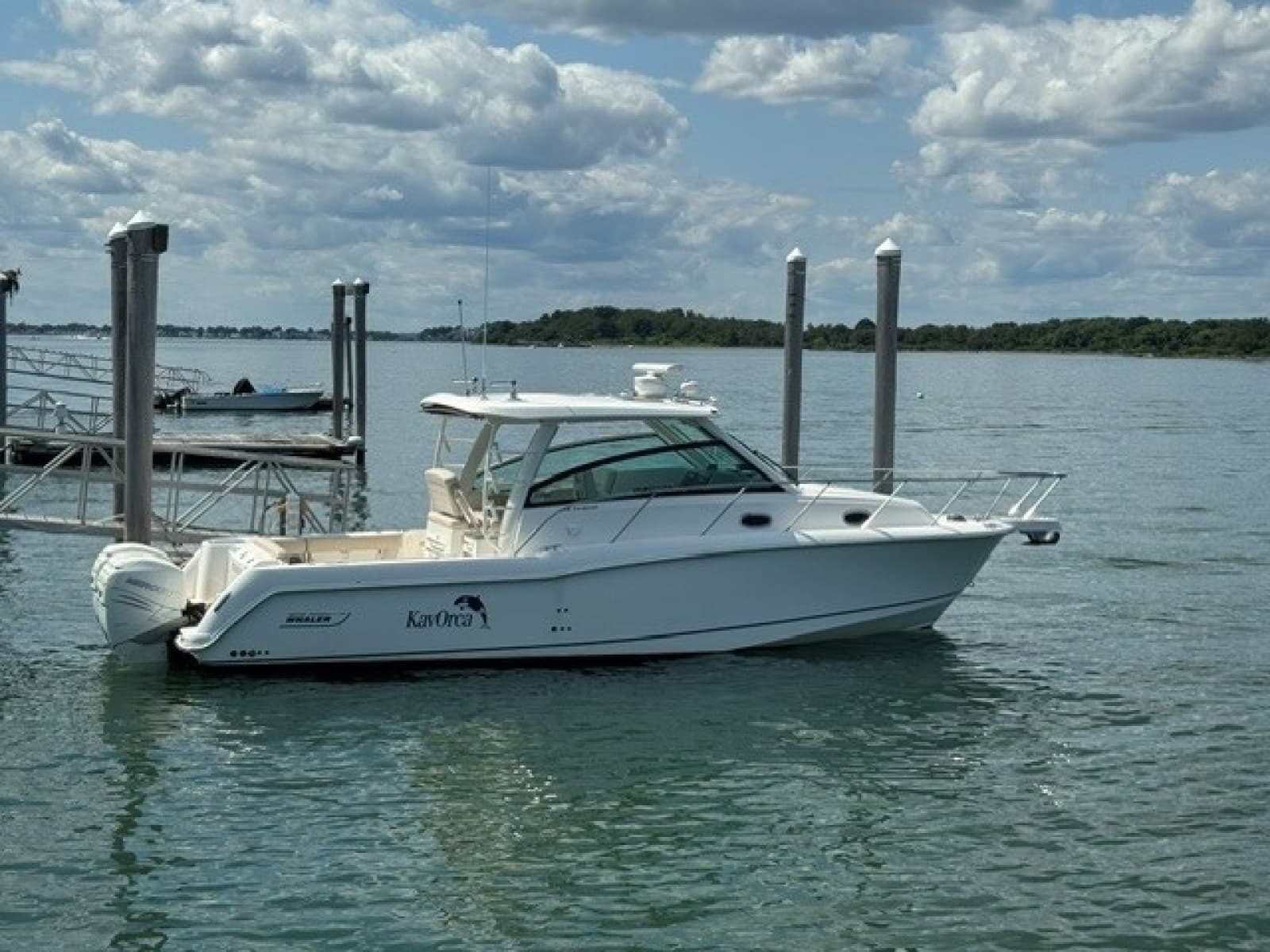 2016 Boston Whaler  - Photo 2