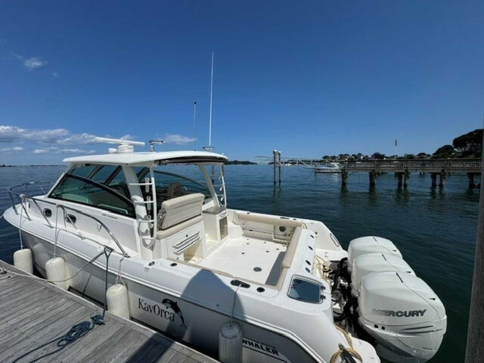 2016 Boston Whaler  - Photo 6