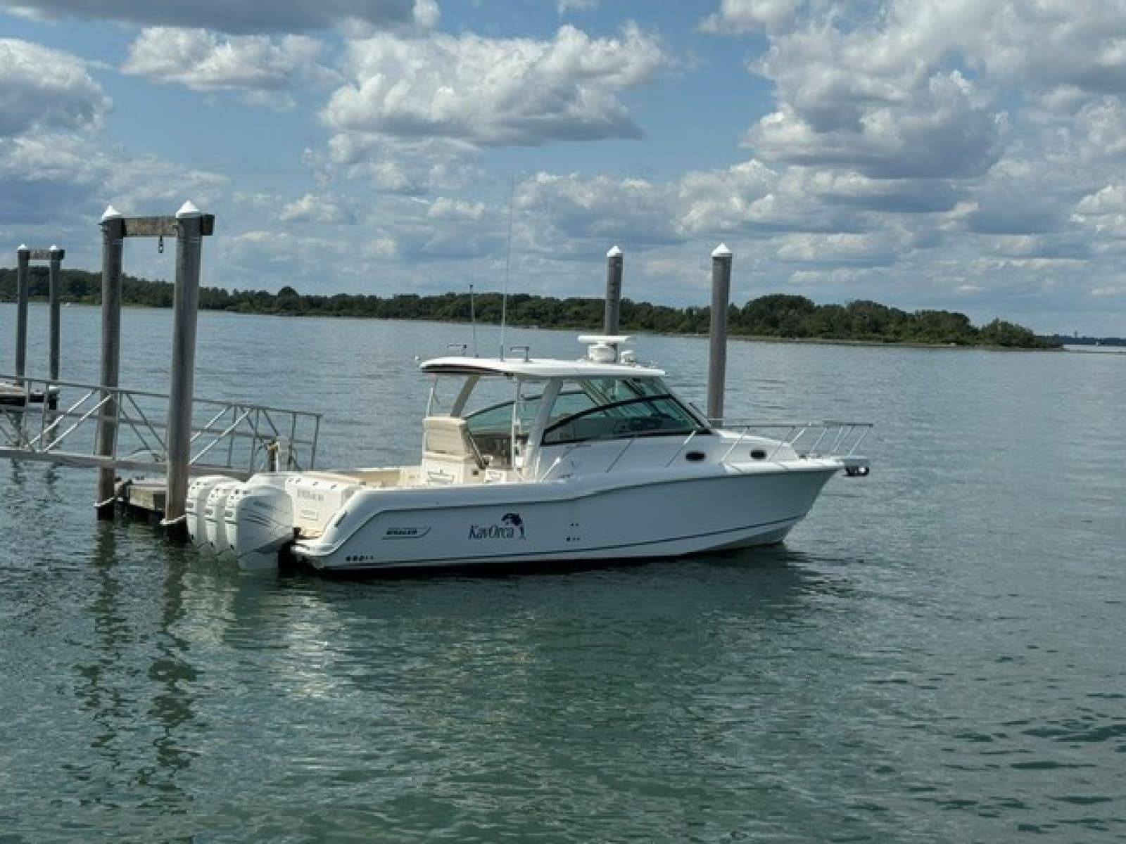 2016 Boston Whaler  - Photo 3