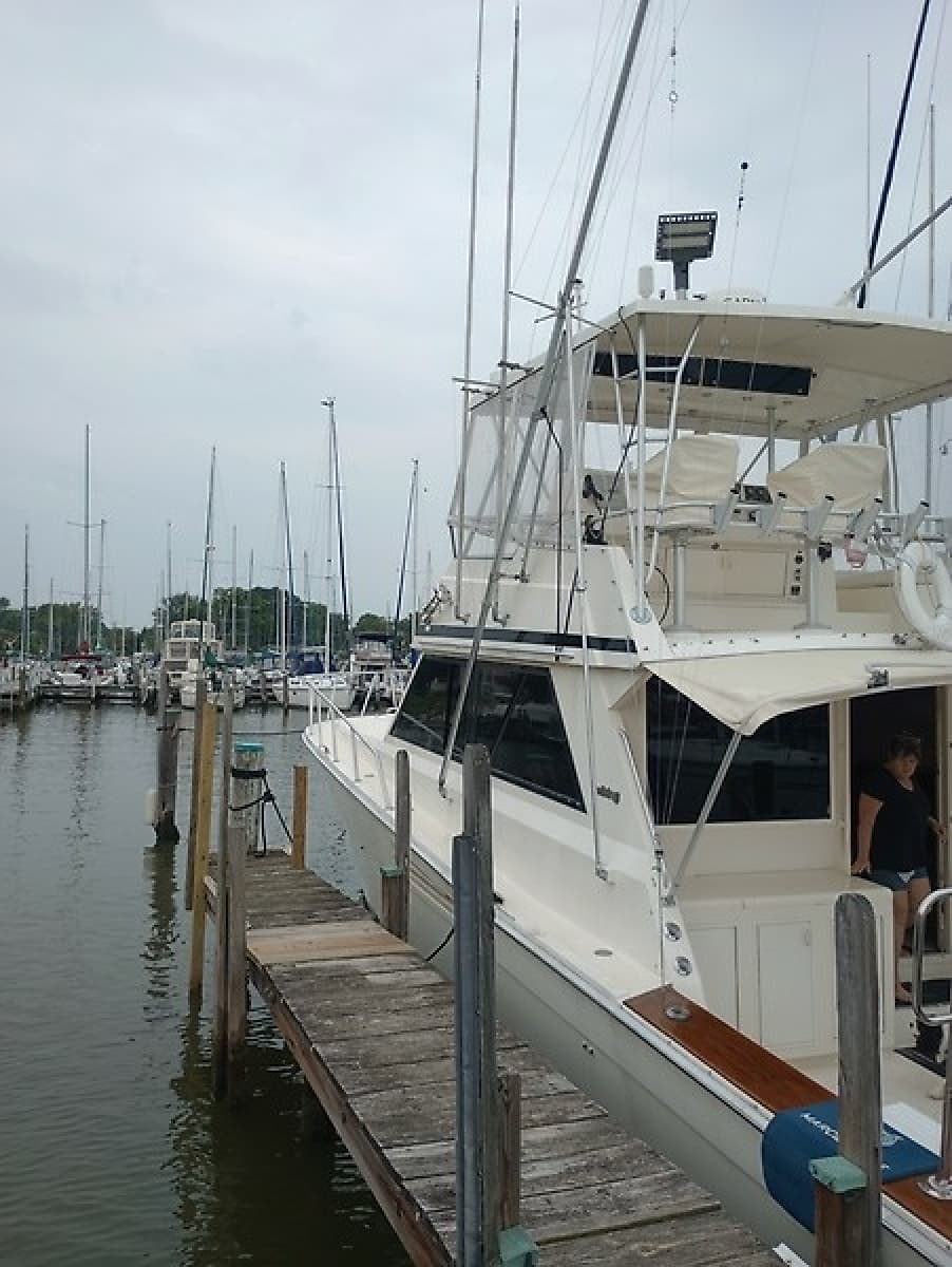 1989 Viking 48 Convertible - Photo 1