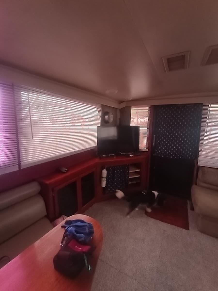 1989 Viking 48 Convertible - Photo 12