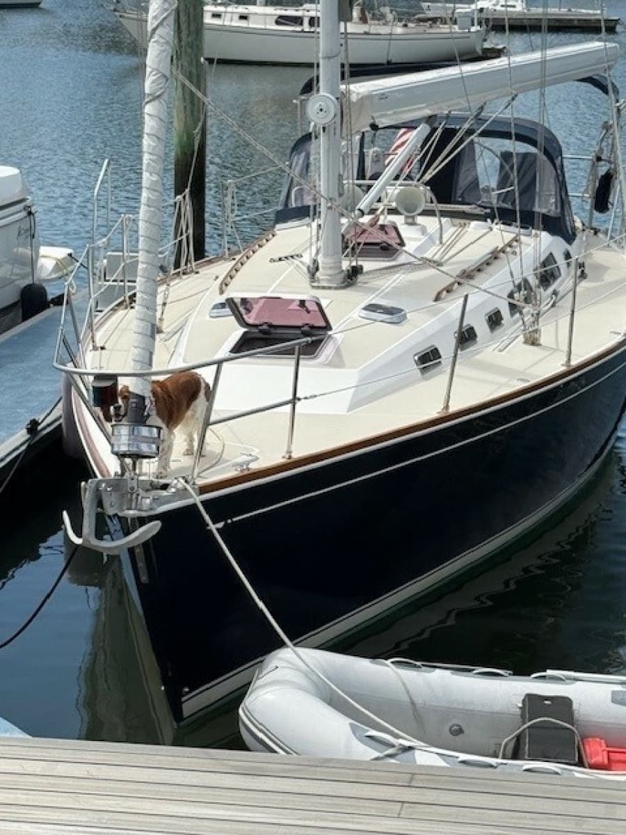1998 Sabre 402 - Photo 2