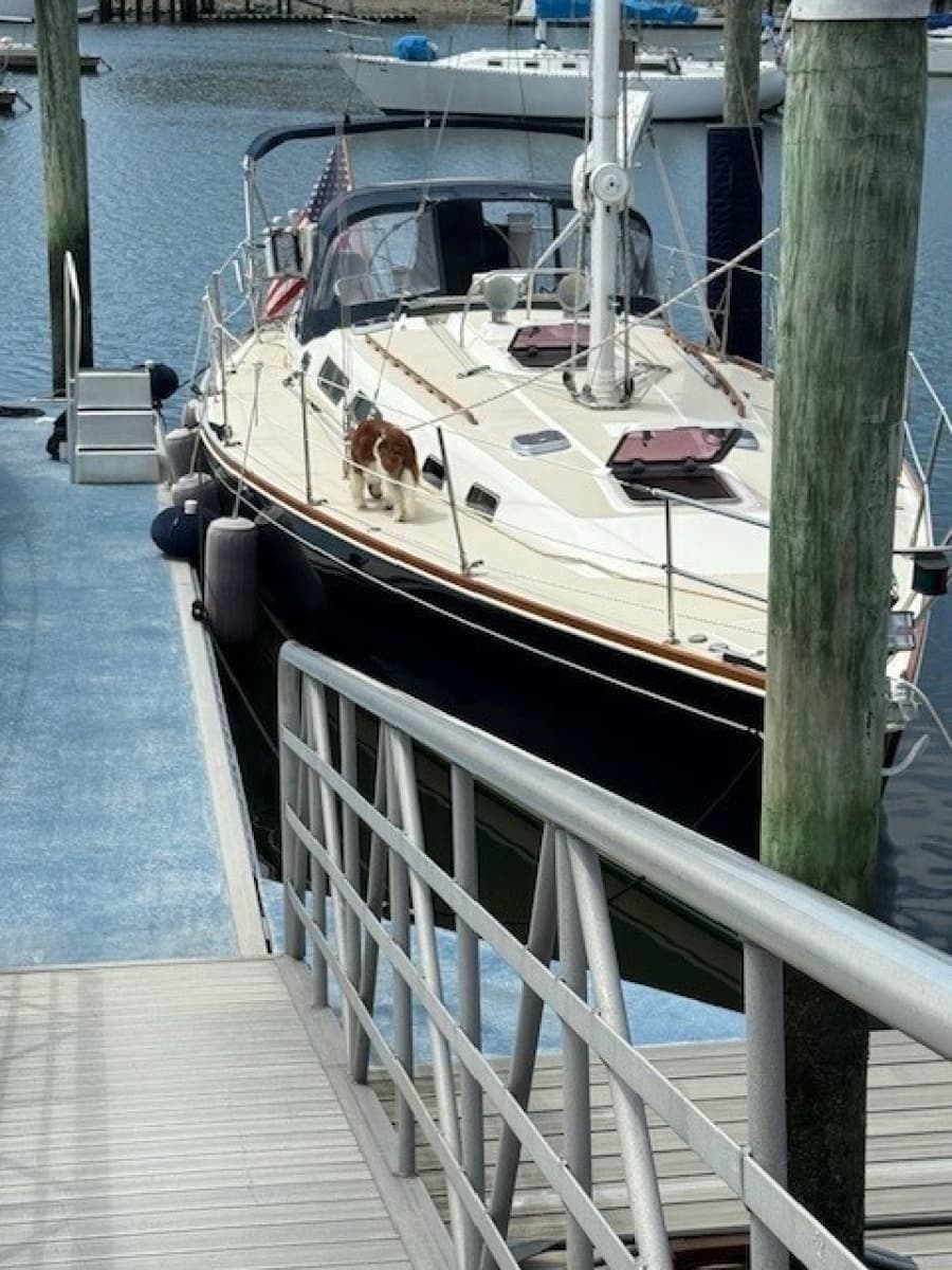1998 Sabre 402 - Photo 4
