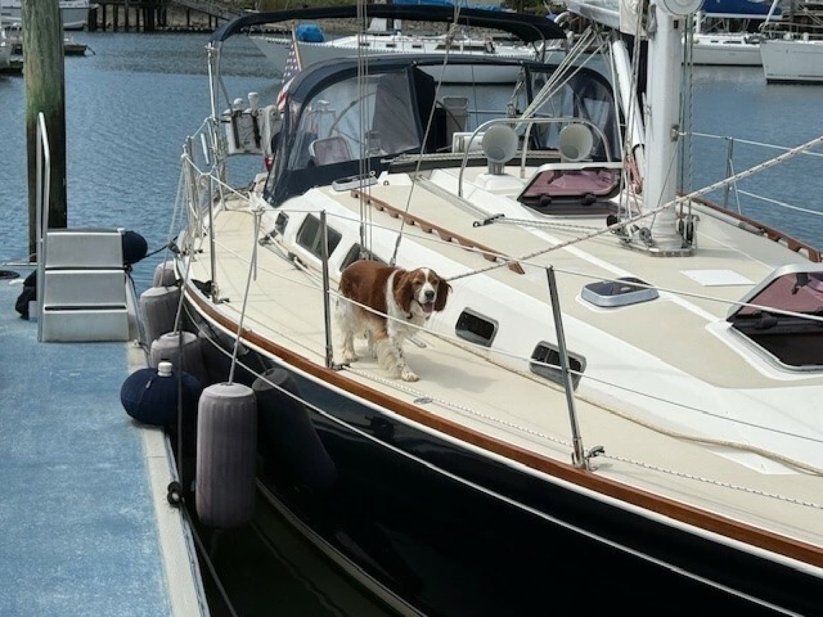 1998 Sabre 402 - Photo 6