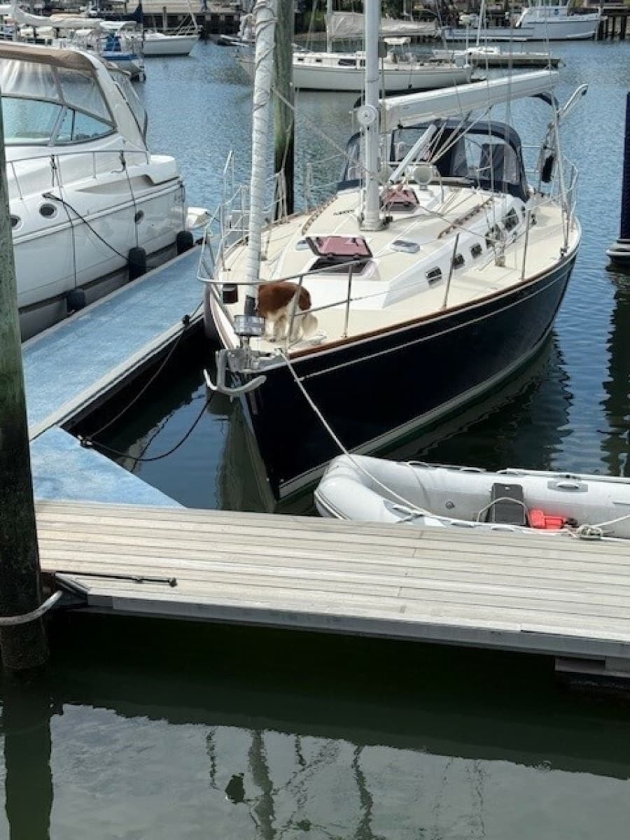 1998 Sabre 402 - Photo 3