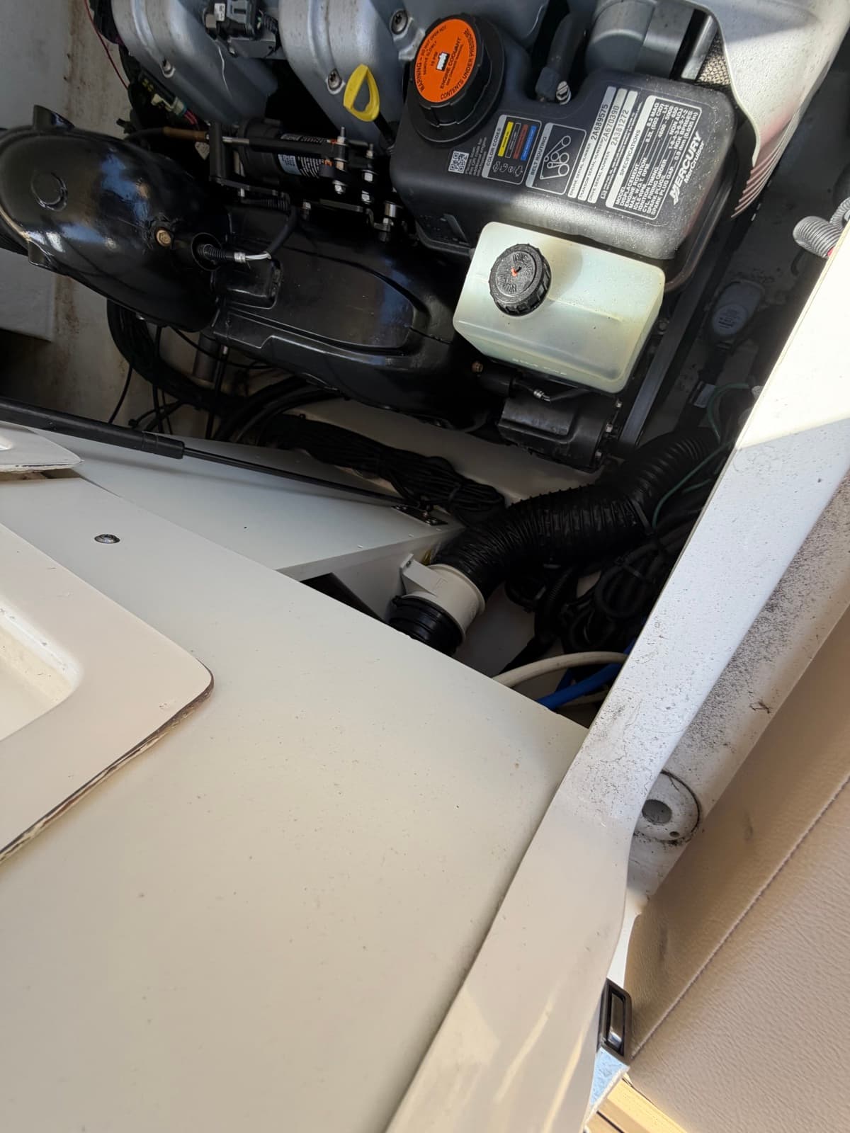 2021 Sea Ray 290 SDX - Photo 68