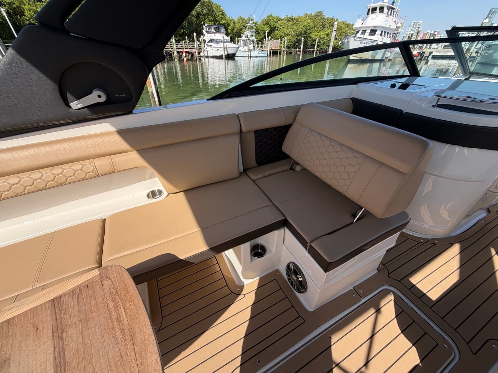 2021 Sea Ray 290 SDX - Photo 11