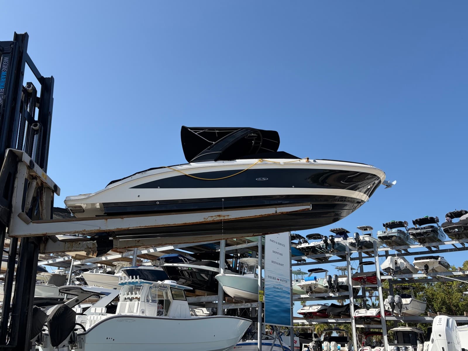 2021 Sea Ray 290 SDX - Photo 8