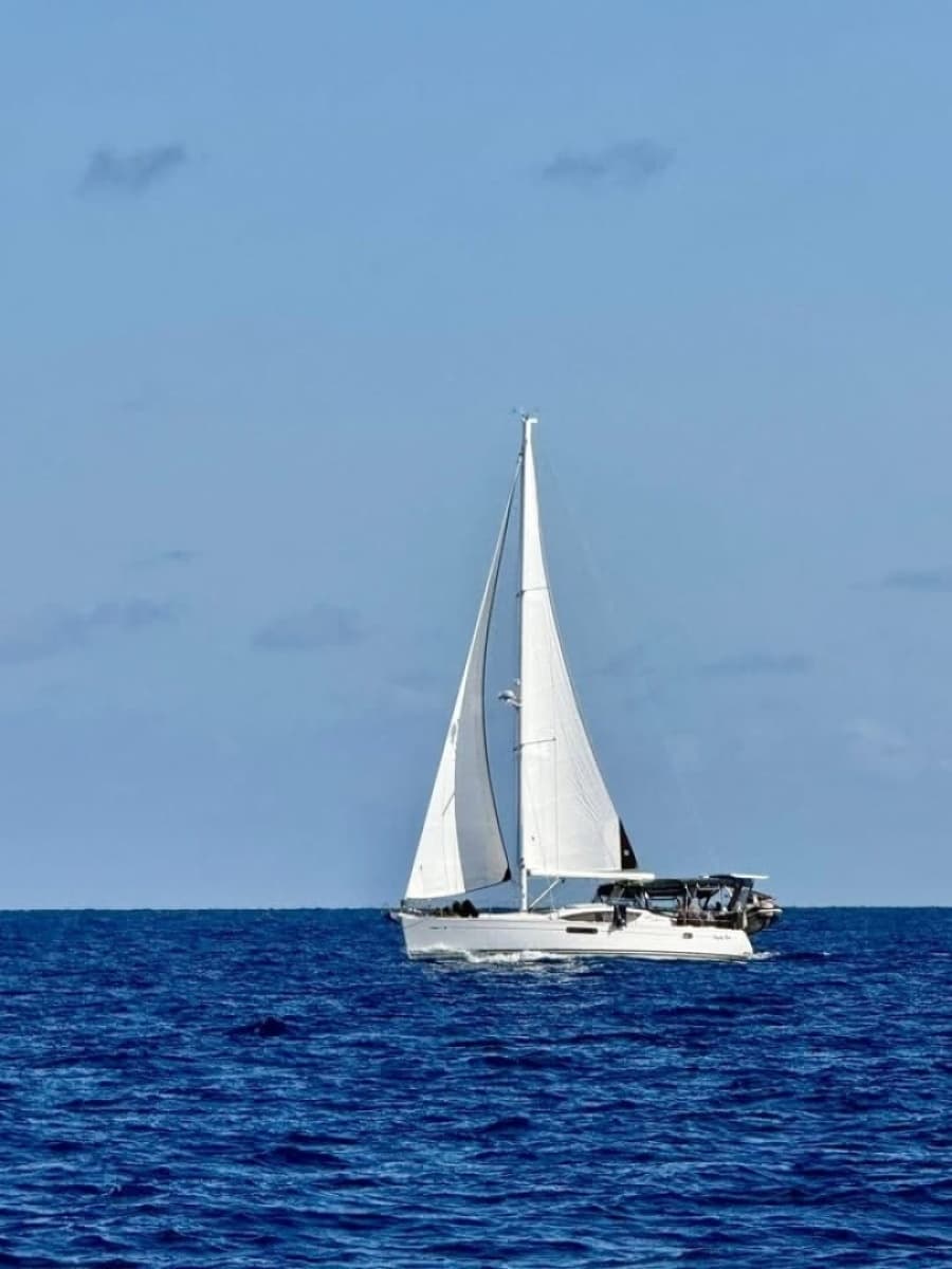 2008 Jeanneau 45DS - Photo 17