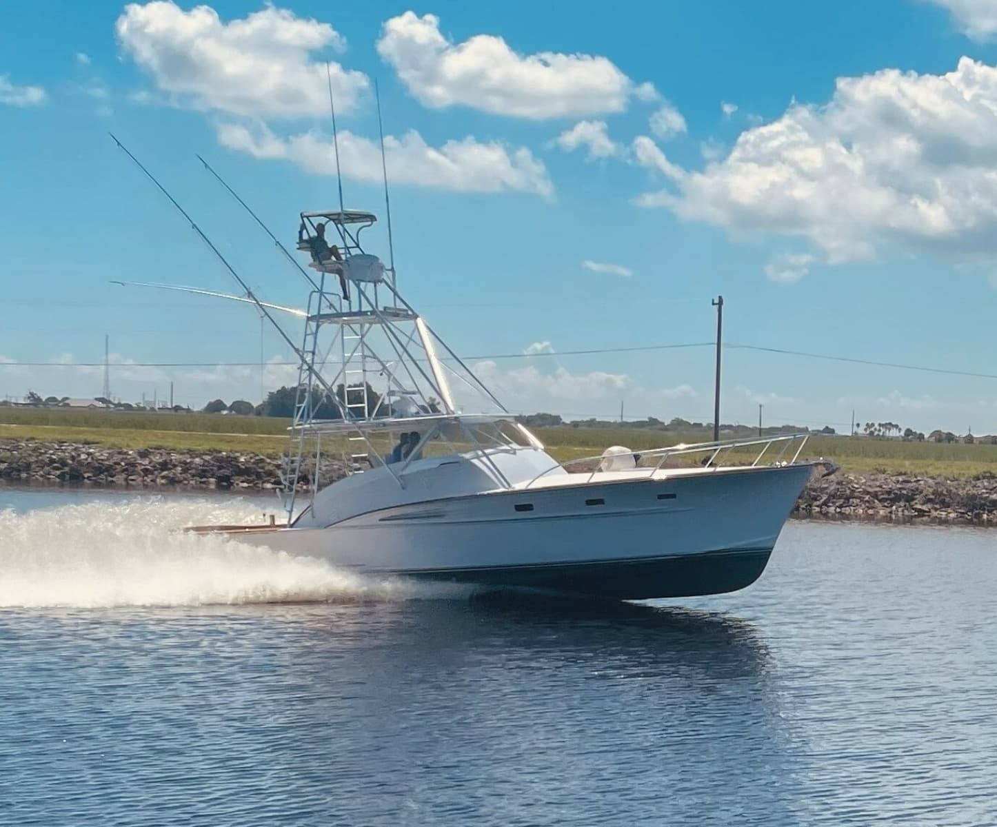 1990 Rybovich Express Sportfish - Photo 59