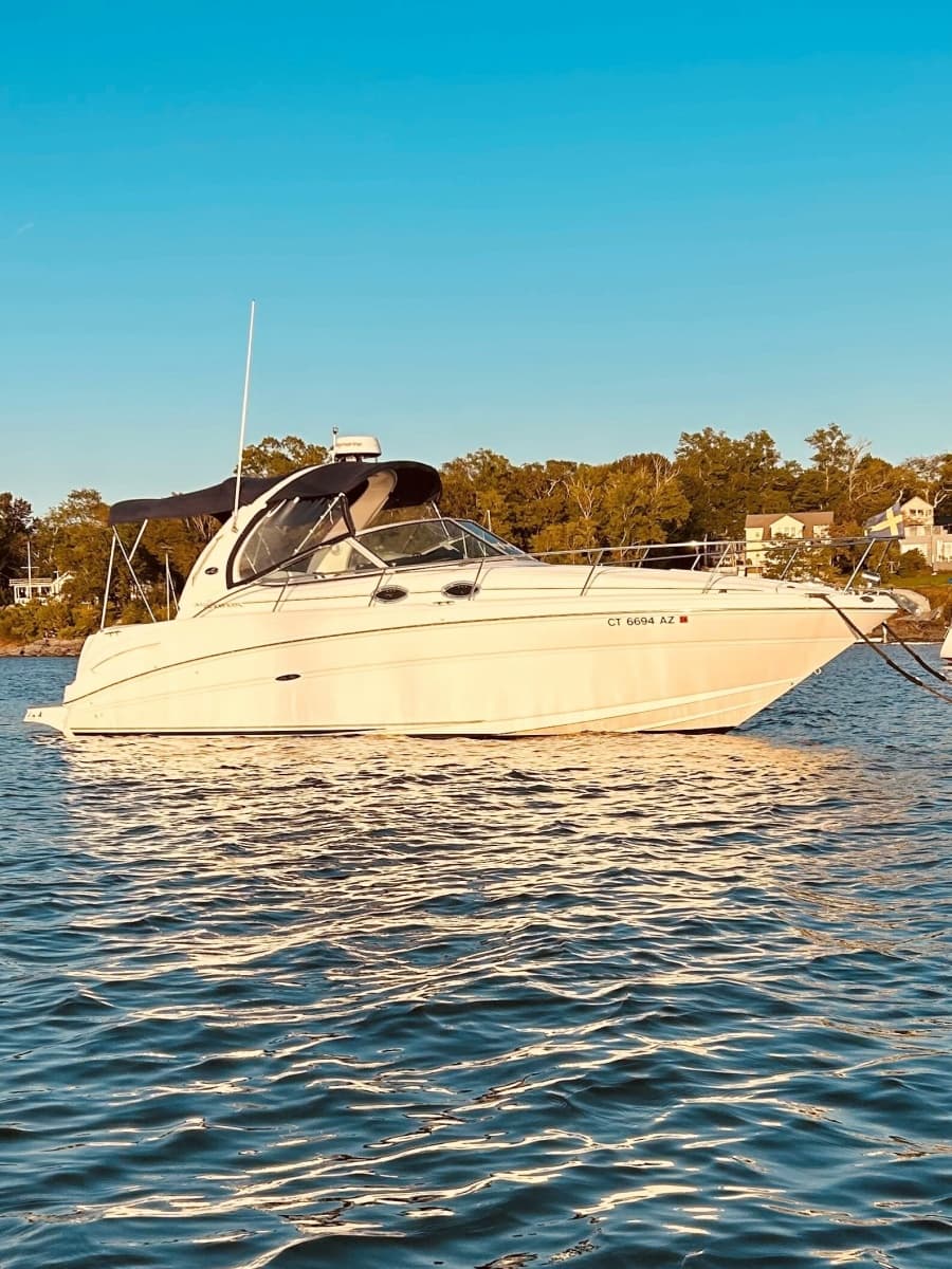 2004 Sea Ray 300 Sun Dancer - Photo 18