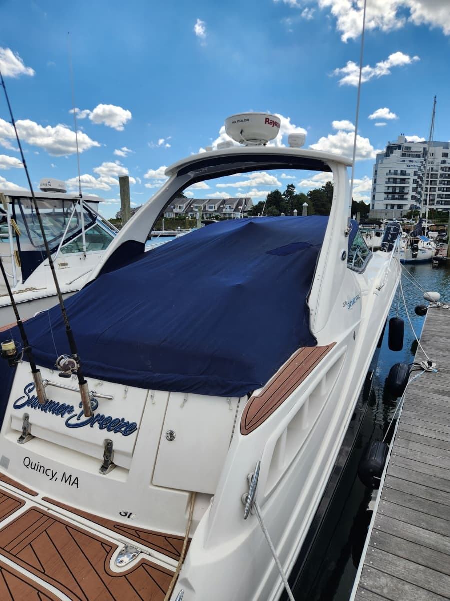 2007 Sea Ray  - Photo 4