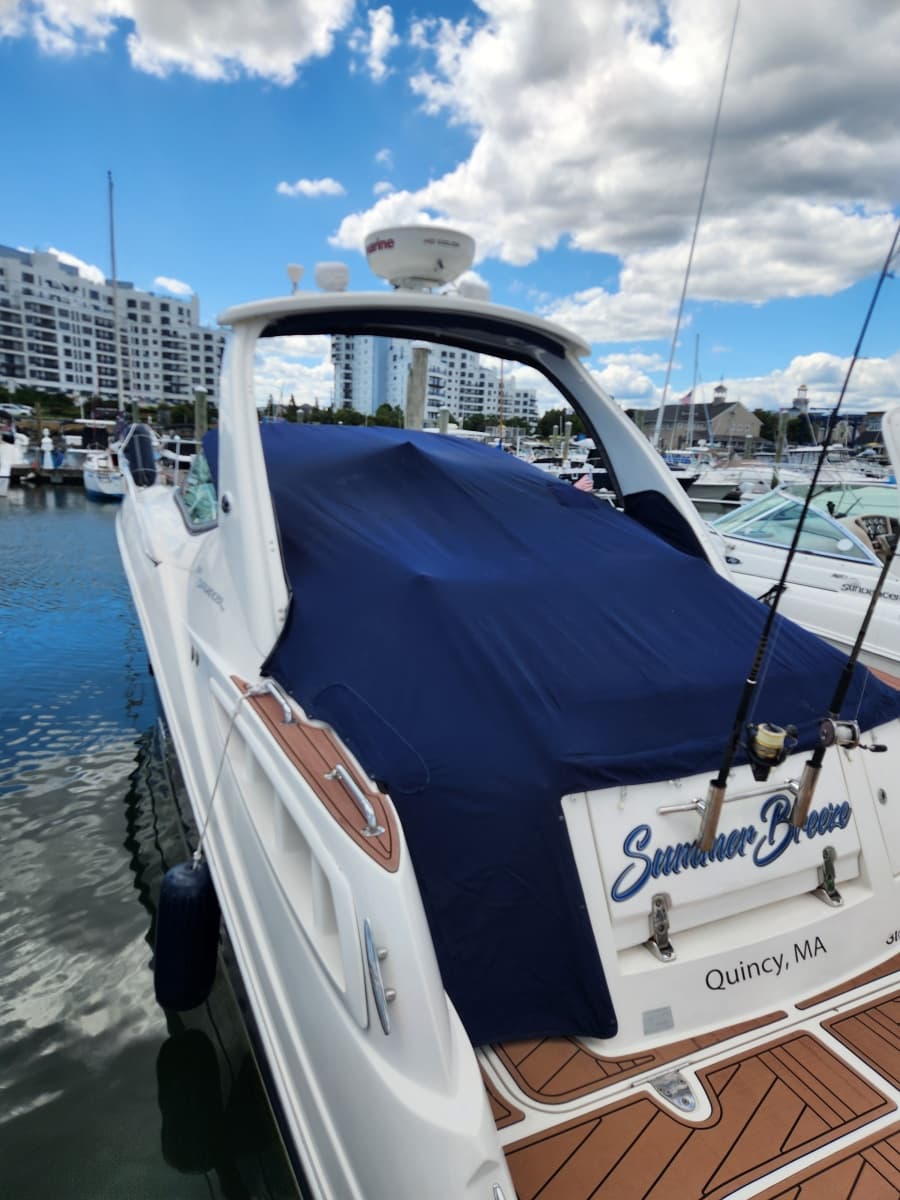 2007 Sea Ray  - Photo 3