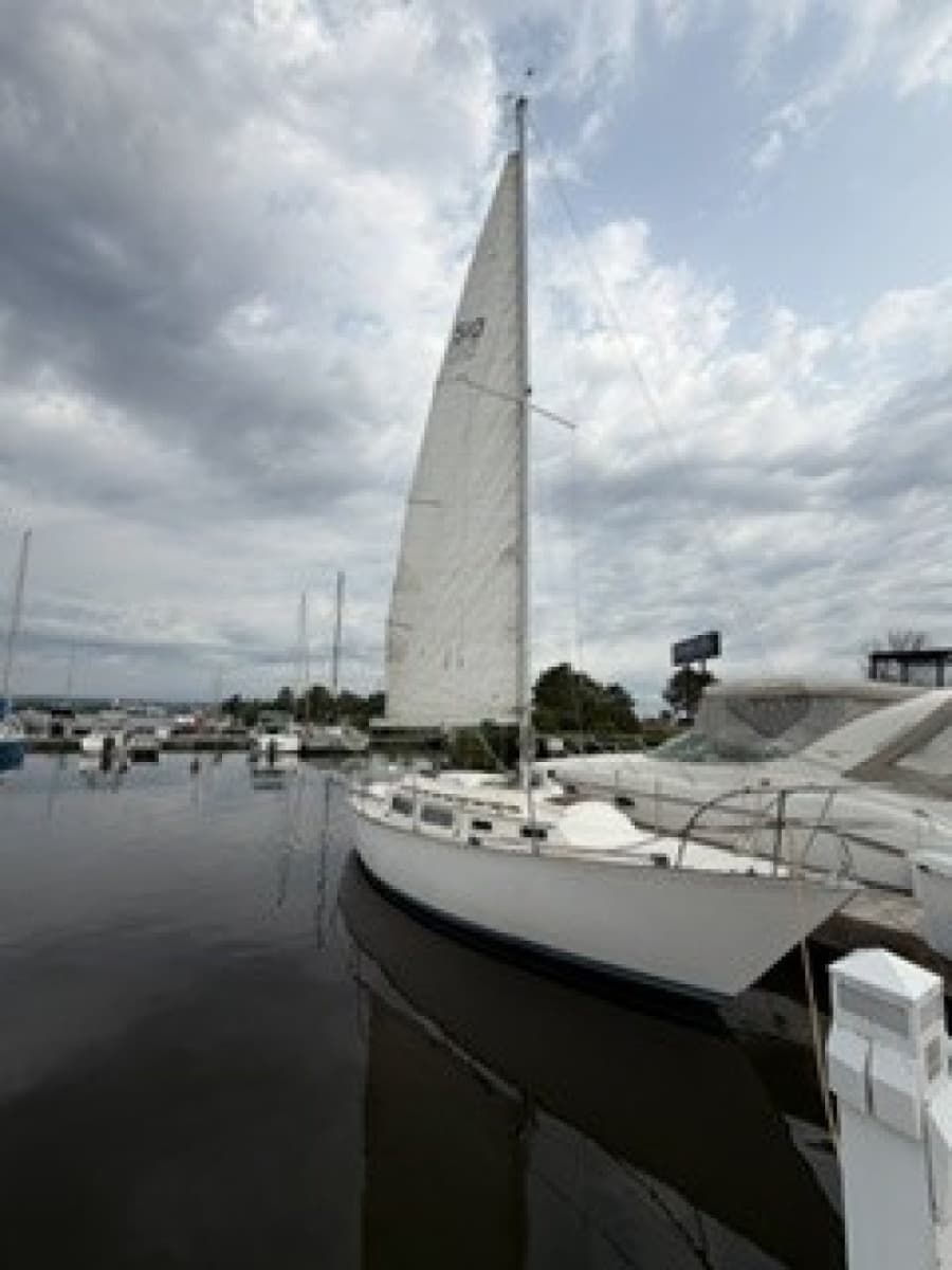 1981 Sabre 28 Series 2 - Photo 2