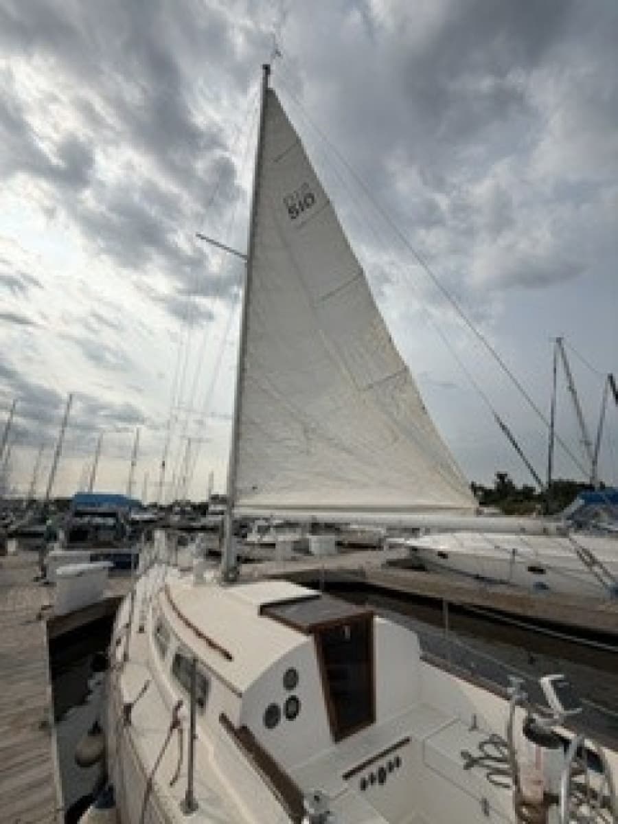1981 Sabre 28 Series 2 - Photo 5