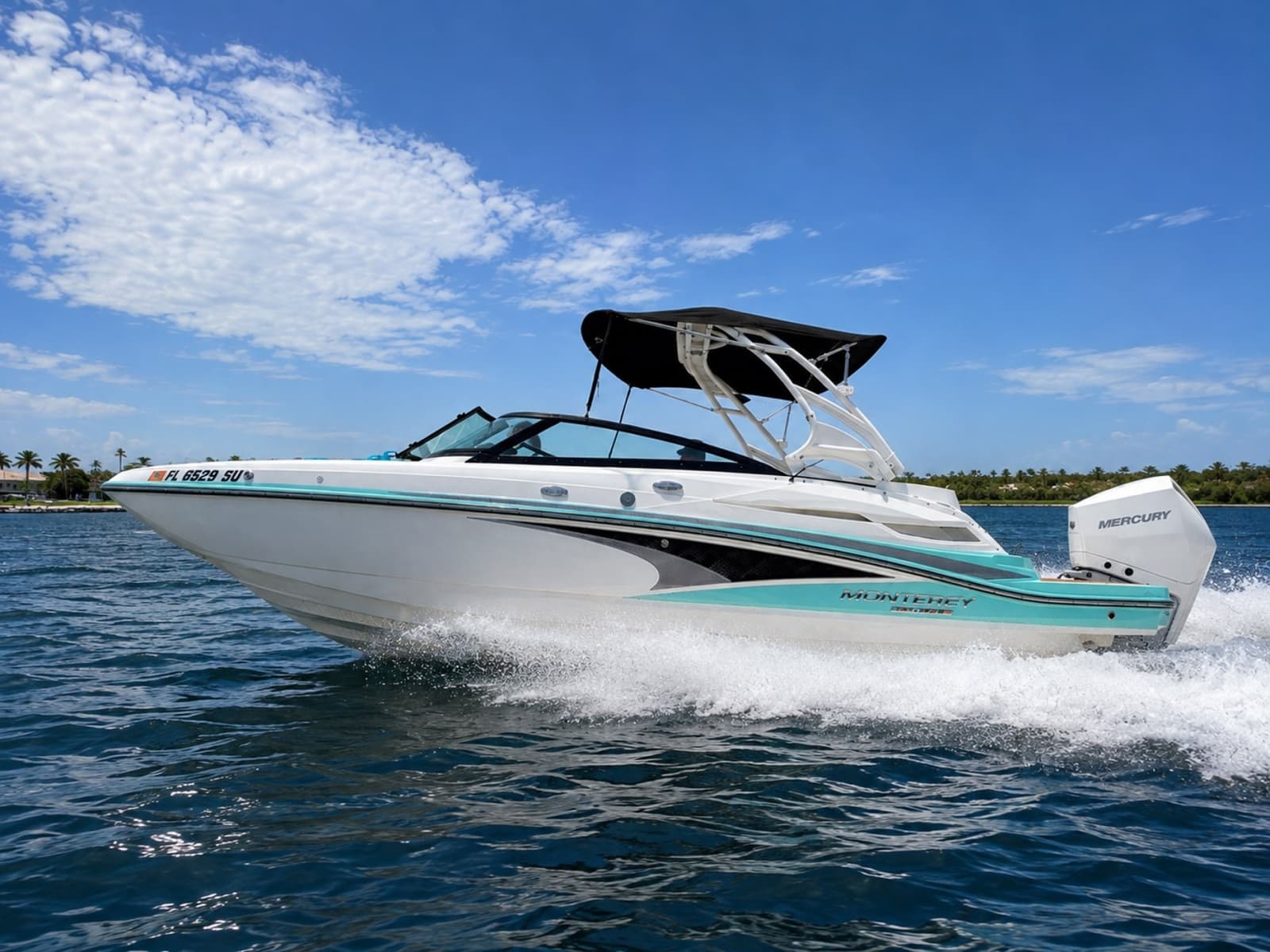 2021 Monterey M-45 - Photo 3