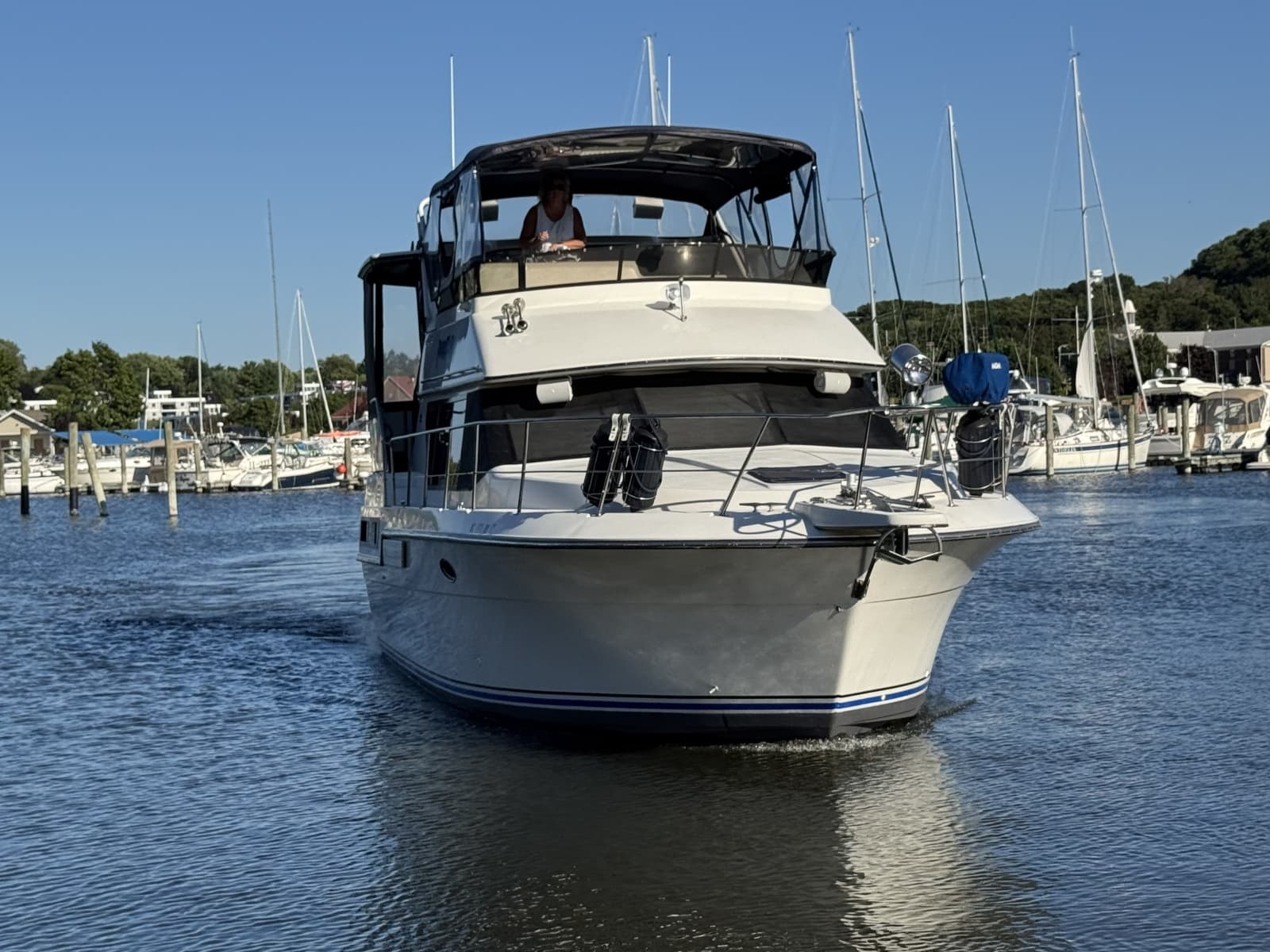 1991 Carver 3608 Aft Cabin Motor Yacht - Photo 6