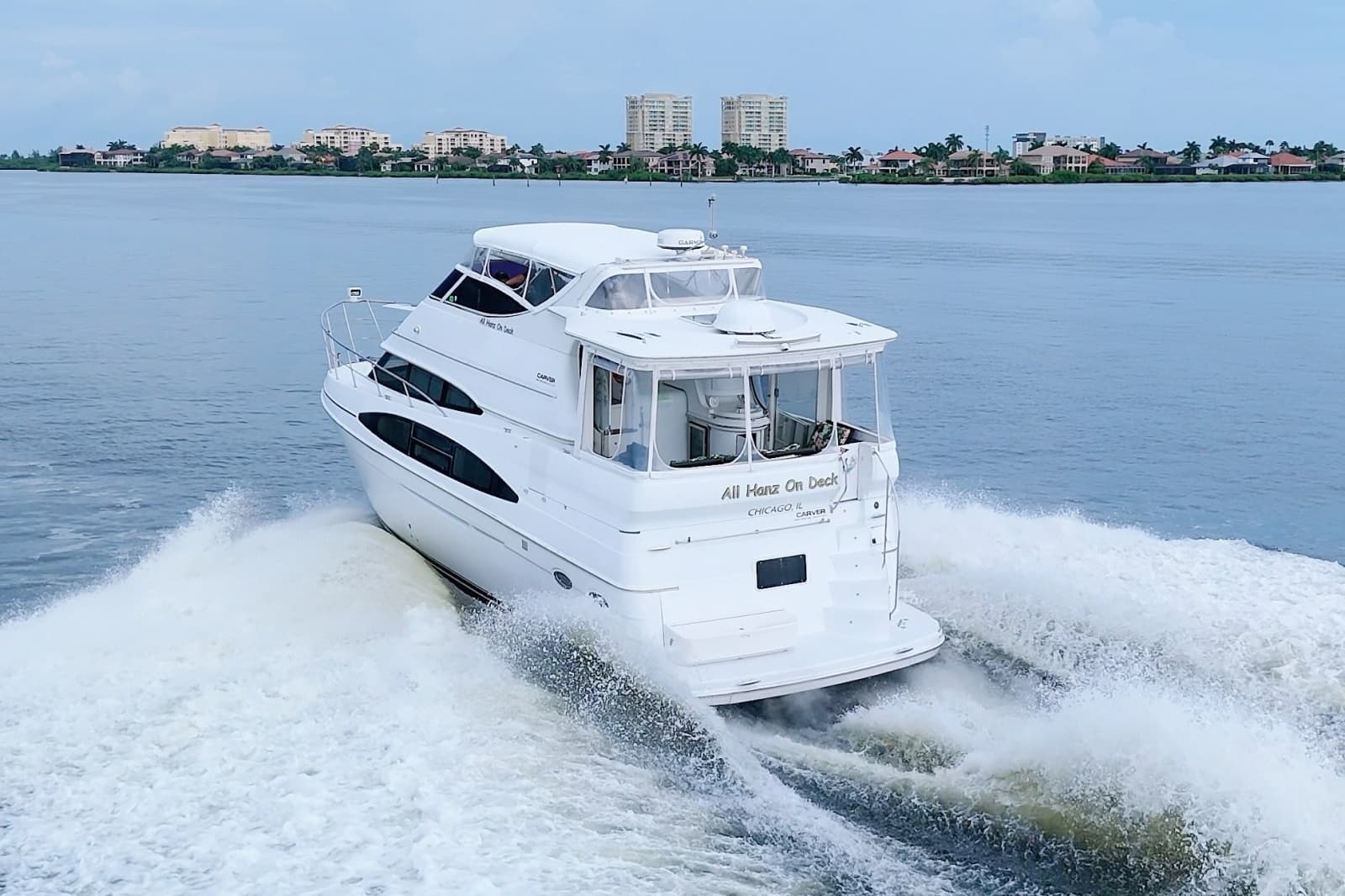 2001 Carver 466 Motor Yacht - Photo 10