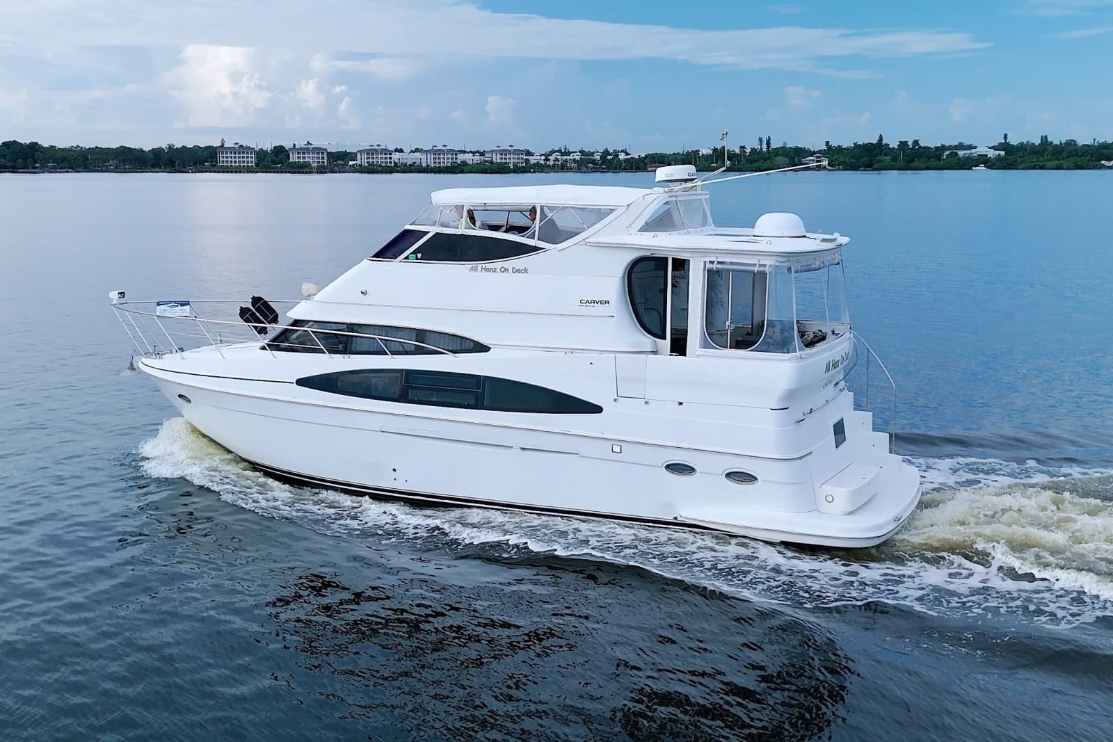 2001 Carver 466 Motor Yacht - Photo 4